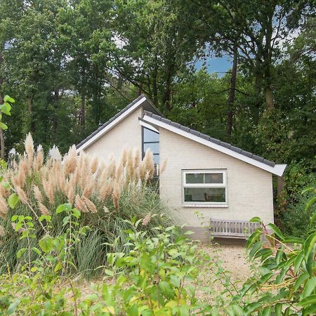Elite Holiday Home In North Holland Near Forest Schoorl Kültér fotó
