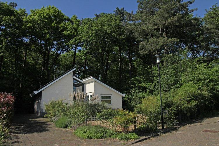 Elite Holiday Home In North Holland Near Forest Schoorl Kültér fotó